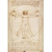 Figurka Parastone LEONARDO DA VINCI - Vitruvian Man - L`Home de vitruve (1490 - BIAŁA) - 22 cm