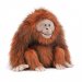 Maskotka Jellycat - Orangutan Oswald