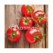 SERWETKI PAPIEROWE - Pomidory